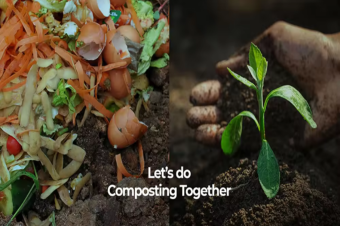 Composteur lectrique cologique